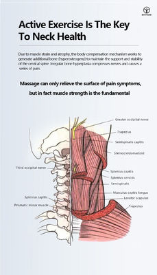 La pantalla de ordenador cervical de la tiesura de la espina dorsal coloca la ergonomía giratoria
