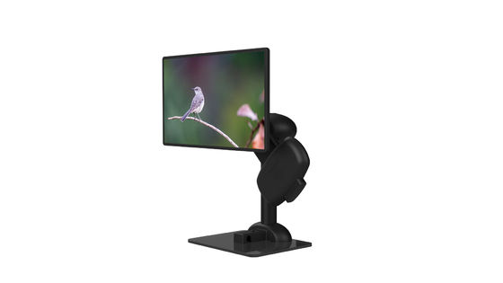 El monitor LCD de la salud del cuello coloca diseño perezoso de elevación automático durable