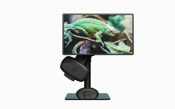 23cm/min Monitoreo de escritorio de computadora saludable montado para la vértebra cervical