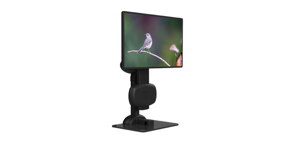 Eslabón giratorio ergonómico del monitor del soporte del LCD para aliviar tiesura del cuello
